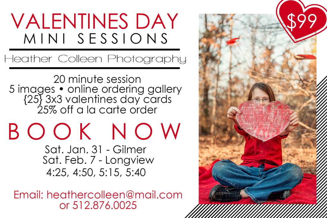 Valentines Day Mini Session Ad